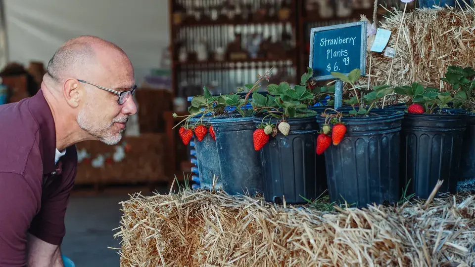 Local Roadside Expertise in the Heart of the Triangle — Morrisville, NC